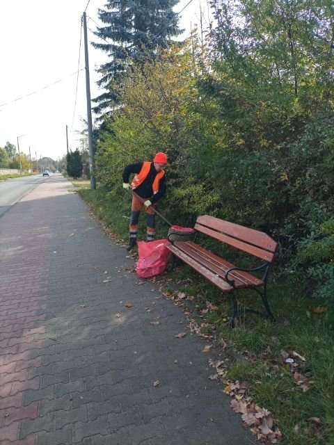 Pracownik gospodarczy ubrany w pomarańczowy strój roboczy grabi liście z trawnika. Z lewej strony jezdnia i chodnik. Z prawej strony ławka, kosz na śmieci i krzewy.