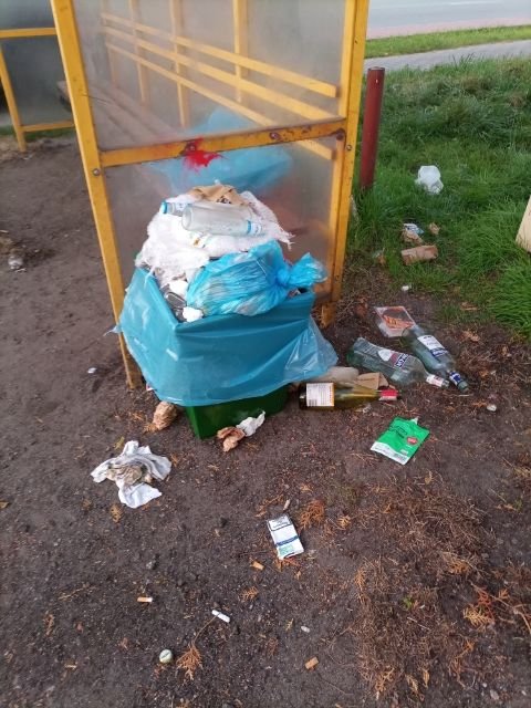 Kosz na śmieci na przystanku autobusowym. Z kosza wysypują się torby na śmieci, butelki oraz pojedyncze śmieci rzucone luzem. 