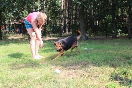 pies biegnacy po piłkę rzuconą przez opiekunkę również widoczną na zdjęciu