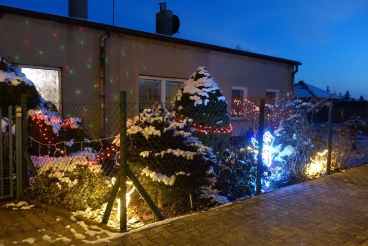 dom a na pierwszym planie rośliny i iluminacje świąteczne, renifer