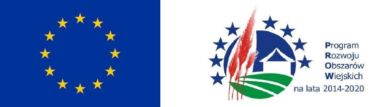 Z lewej strony flaga UE. Z prawej strony logo PROW