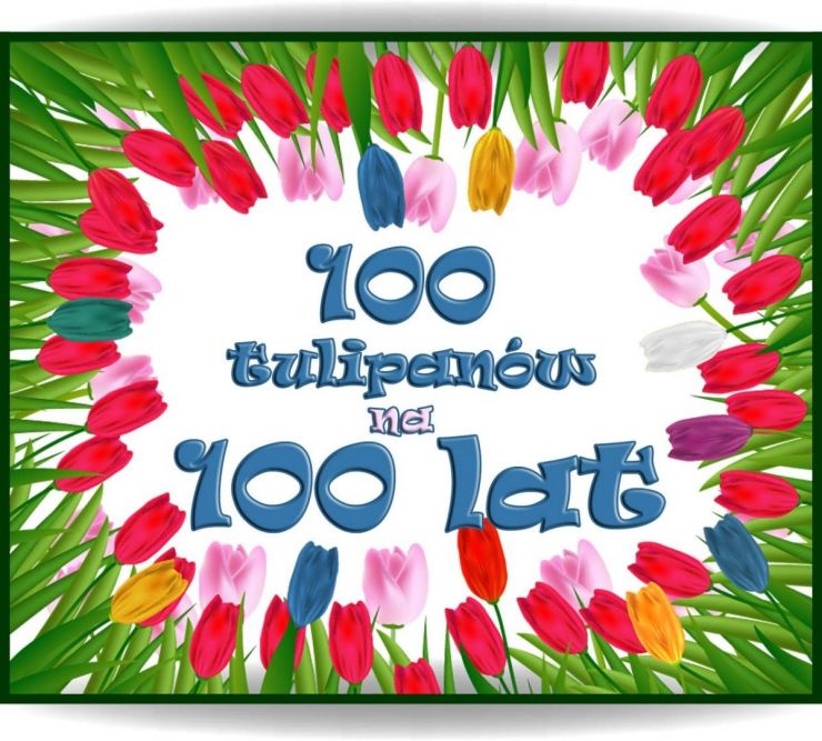 Grafika przedstawiająca tulipany i napis 100 tulipanów na 100 lat.