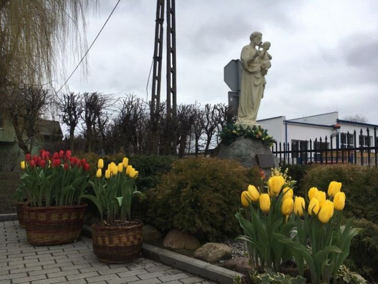 Figura św. Józefa w najbliższym otoczeniu trzy kosze z kwitnącymi tulipanami żółtymi i czerwonymi