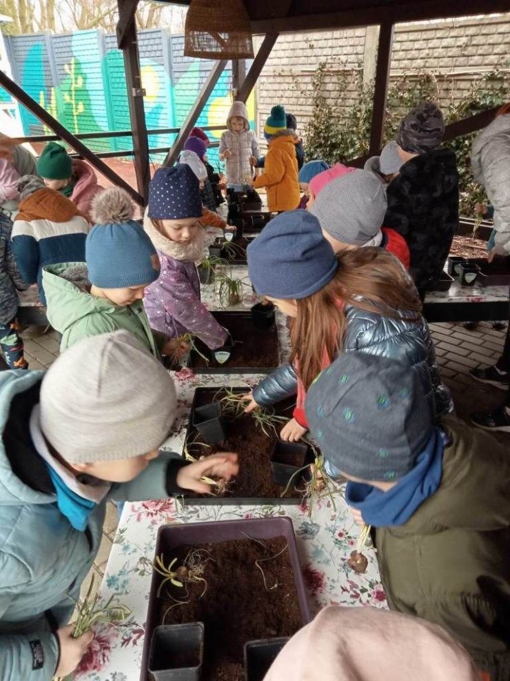 Grupa dzieci sadzi własne sadzonki