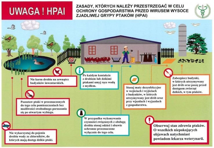 Graficzne przedstawienie zasad, których należy przestrzegać w celu ochrony gospodarstwa przed wirusem wysoce zjadliwej grypy ptaków